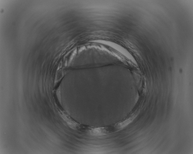 X0000087320382200705181017