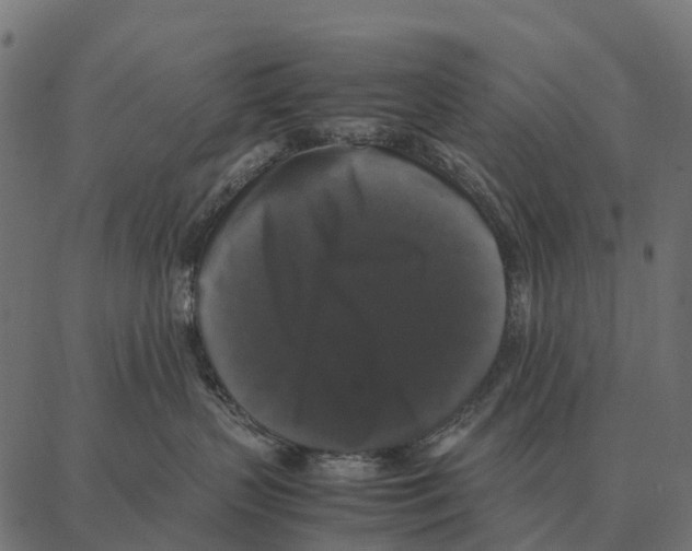 X0000087320383200705181017