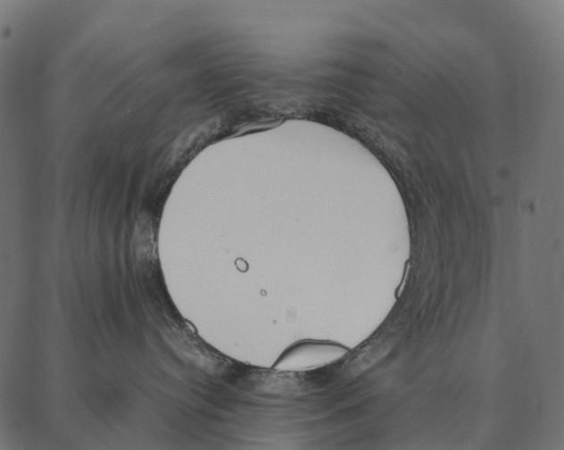 X0000087320384200705181017