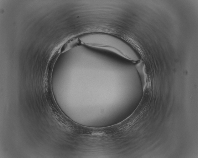 X0000087320388200705181016