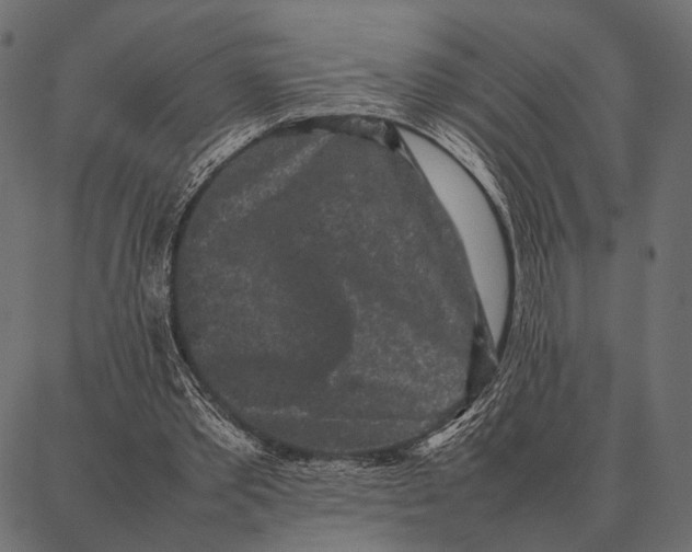 X0000087320389200705181016