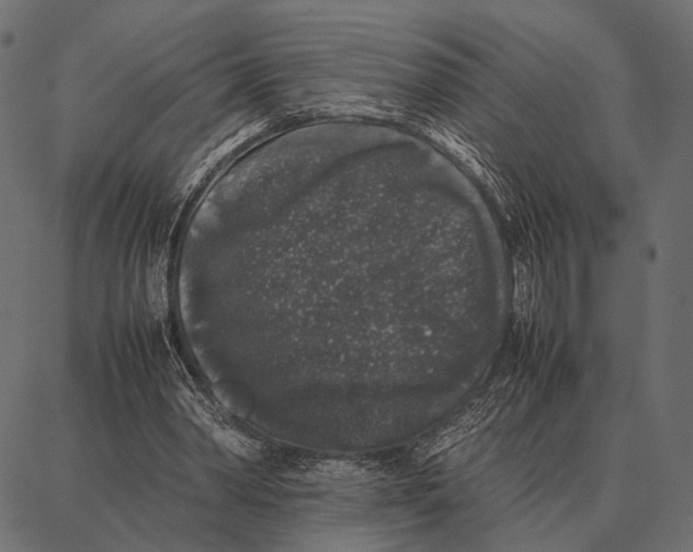 X0000087320390200705181016