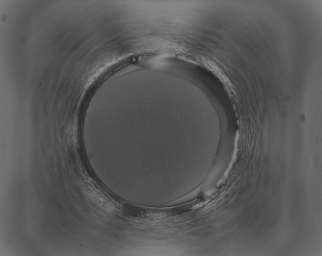 X0000087320391200705181016