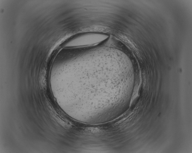 X0000087320392200705181016