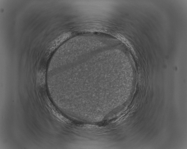 X0000087320393200705181016