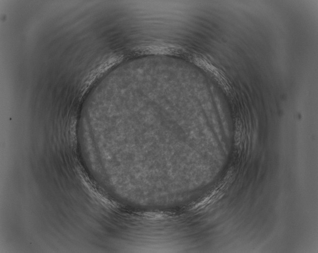 X0000087320394200705181016