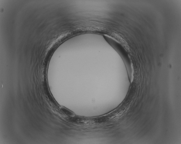 X0000087320395200705181016