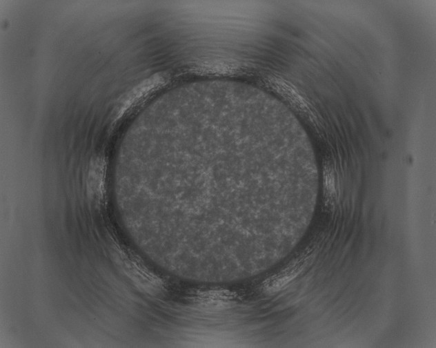 X0000087320396200705181016