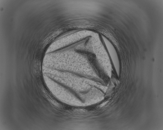 X0000087320397200705181016