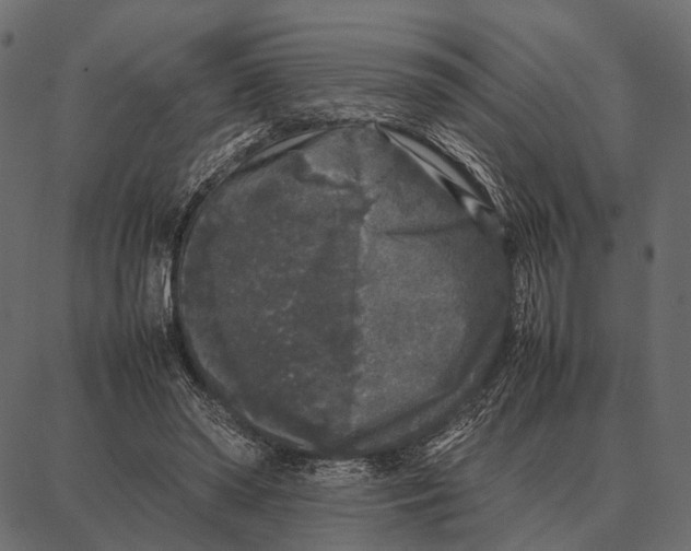 X0000087320398200705181016