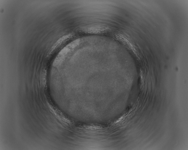 X0000087320400200705181016