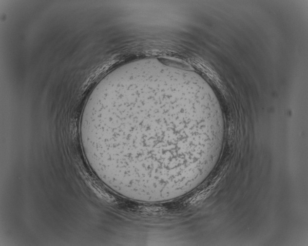 X0000087320401200705181016