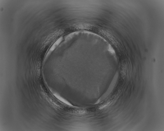 X0000087320402200705181016