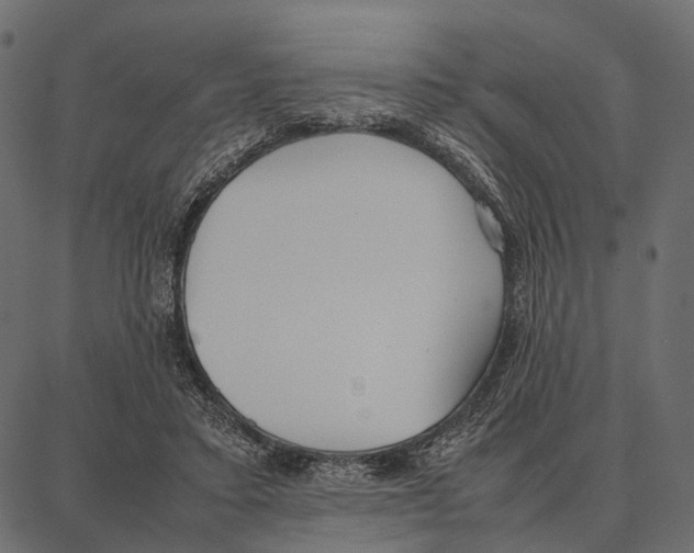 X0000087320403200705181016