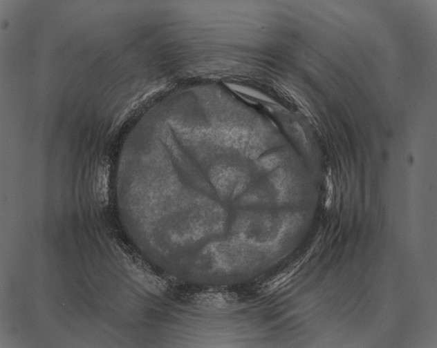 X0000087320404200705181016