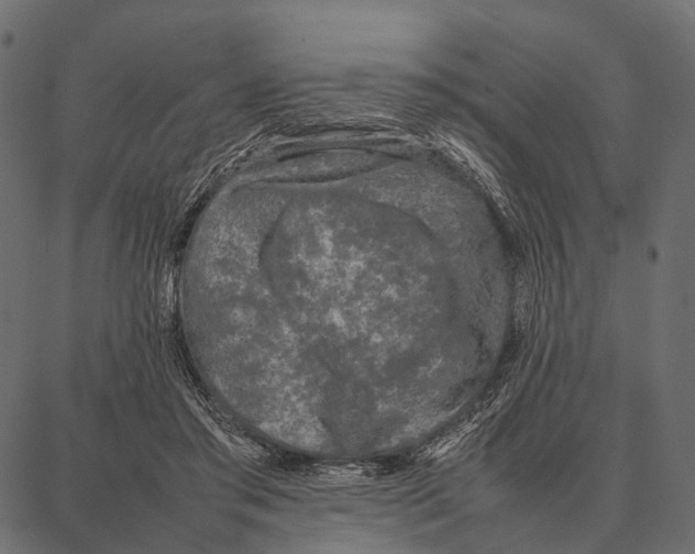 X0000087320405200705181016