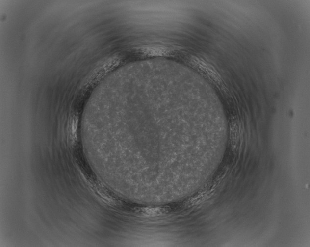 X0000087320406200705181016