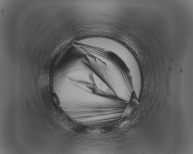 X0000087320407200705181016