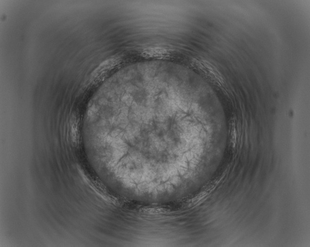 X0000087320408200705181016