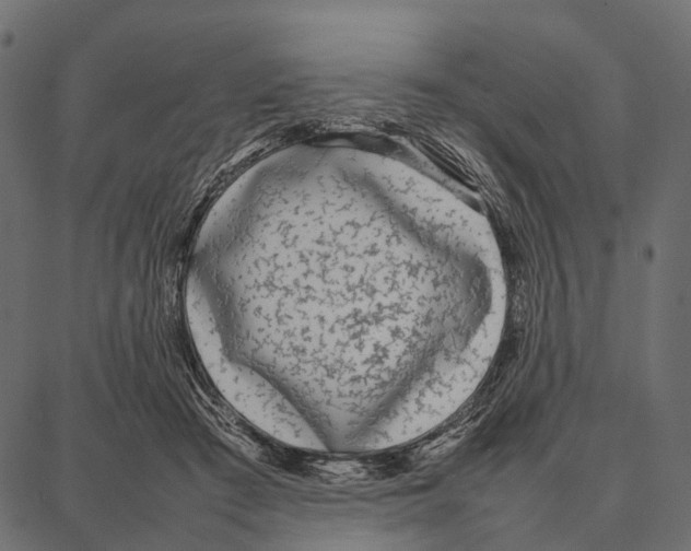 X0000087320409200705181016