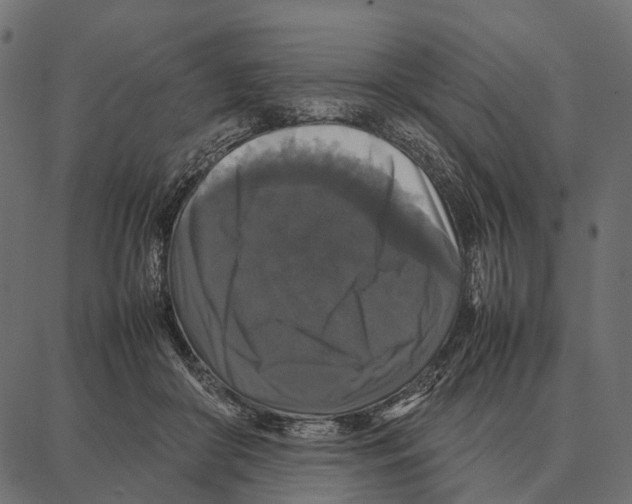 X0000087320410200705181016