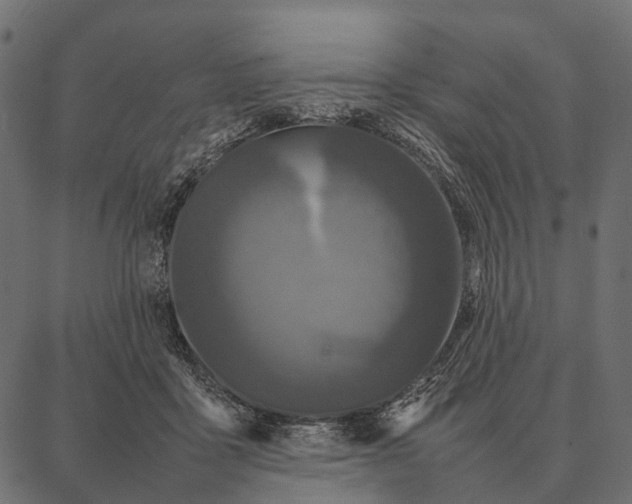 X0000087320411200705181016