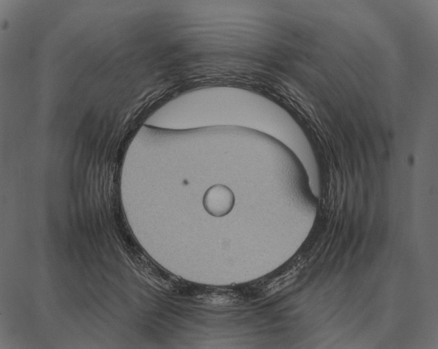 X0000087320412200705181016