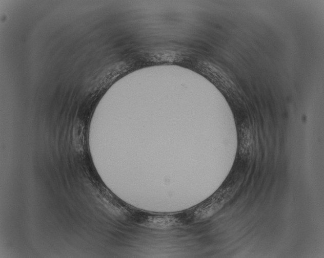 X0000087320414200705181016