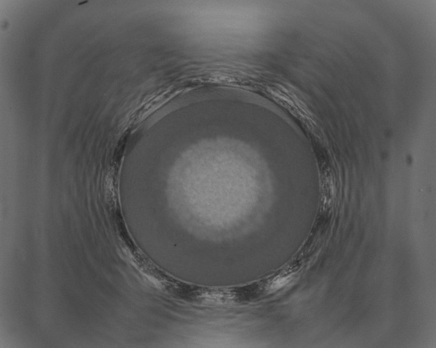 X0000087320415200705181016