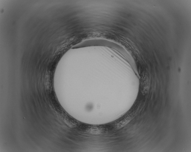 X0000087320416200705181016