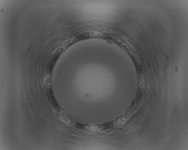 X0000087320419200705181016