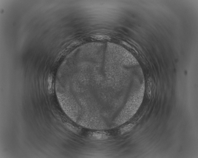 X0000087320420200705181016