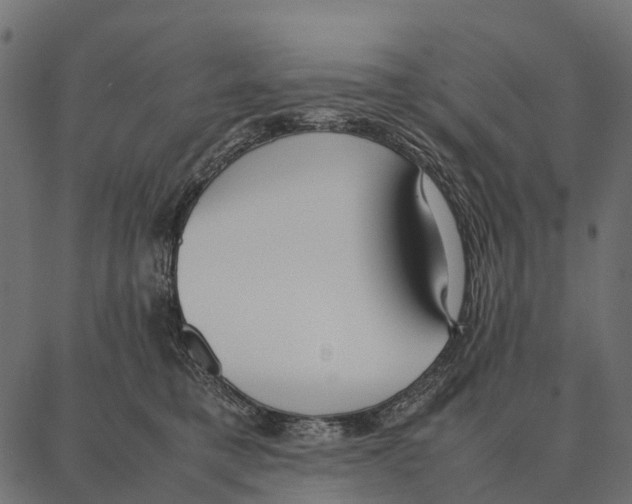 X0000087320421200705181016