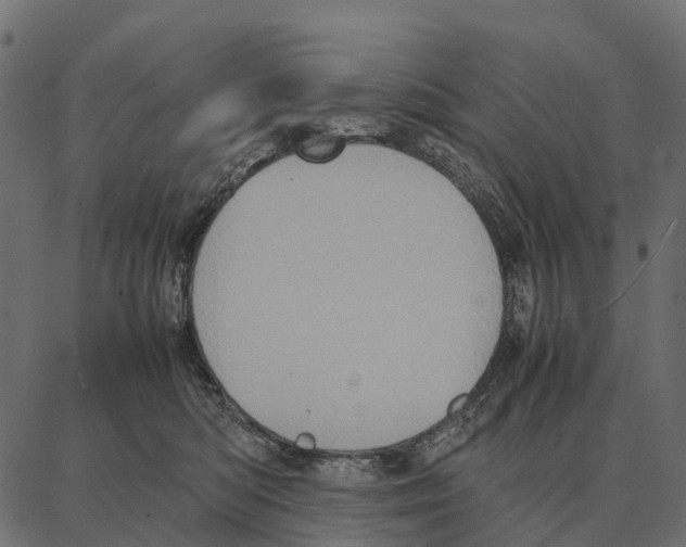 X0000087320422200705181016