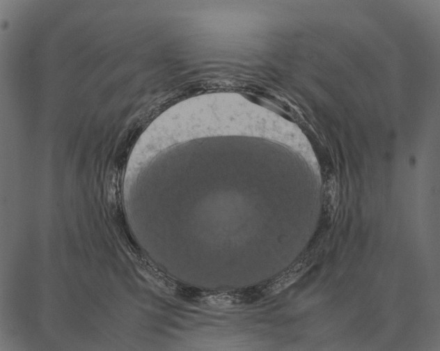 X0000087320423200705181016