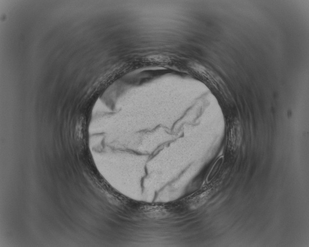 X0000087320424200705181016