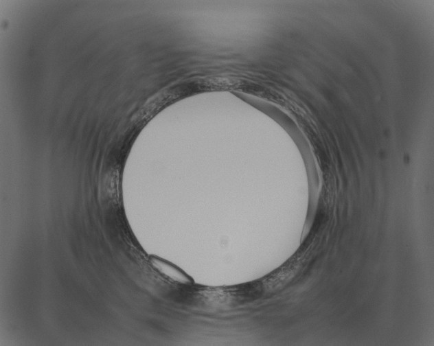 X0000087320425200705181016