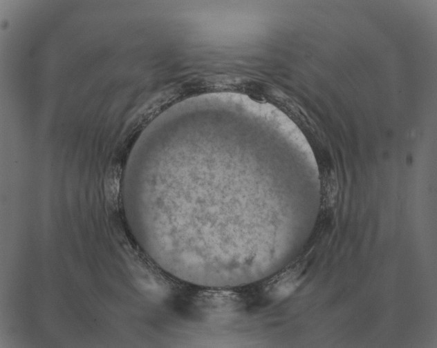 X0000087320427200705181016