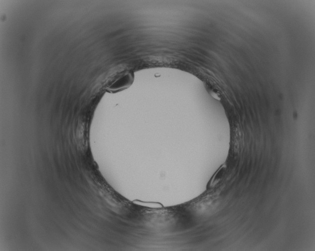 X0000087320428200705181016