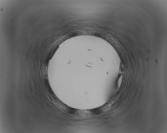 X0000087320429200705181016