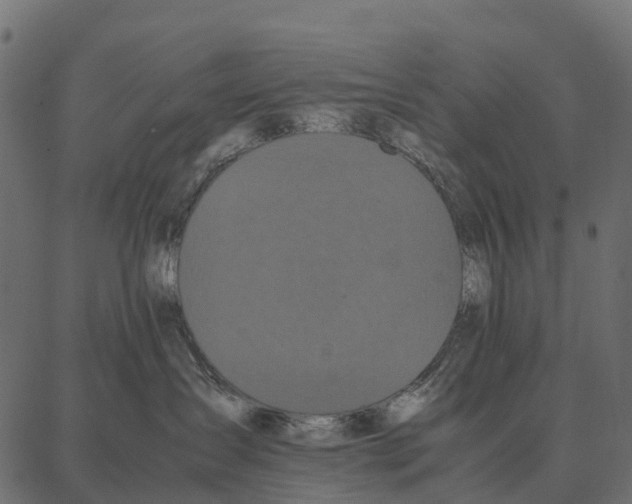 X0000087320431200705181016