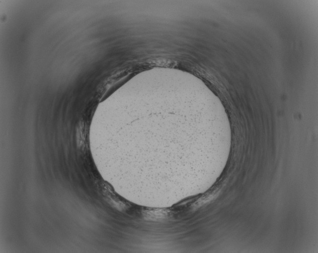 X0000087320432200705181016