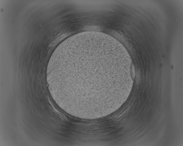 X0000087320433200705181015