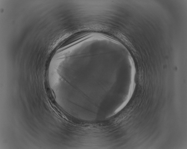 X0000087320434200705181015