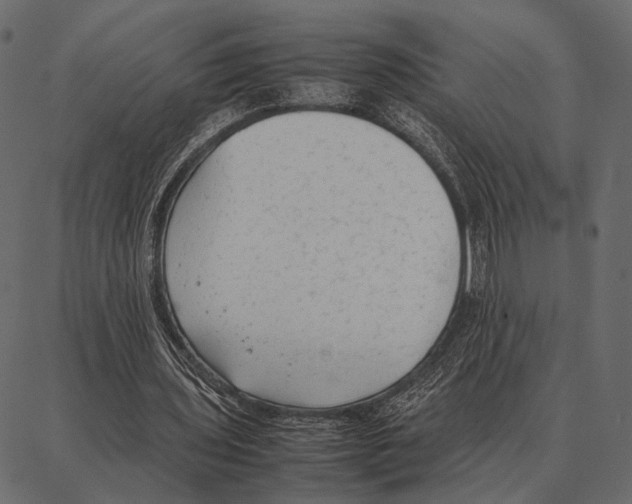 X0000087320435200705181015