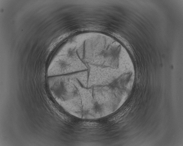 X0000087320437200705181015