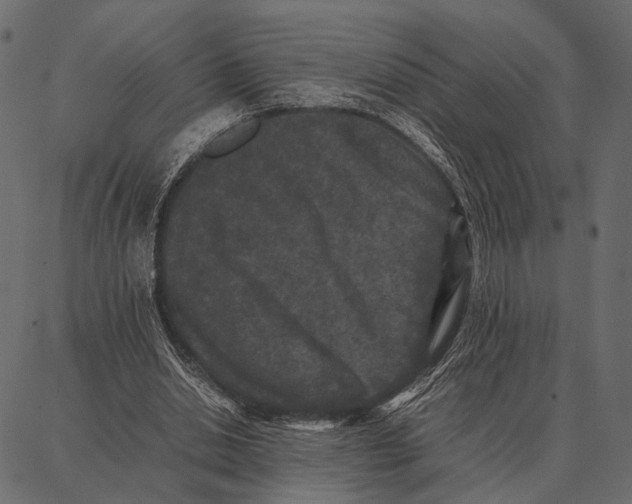 X0000087320438200705181015