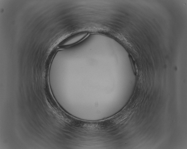 X0000087320440200705181015