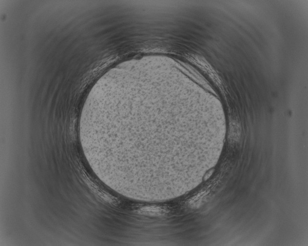 X0000087320441200705181015