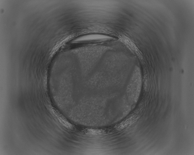 X0000087320442200705181015